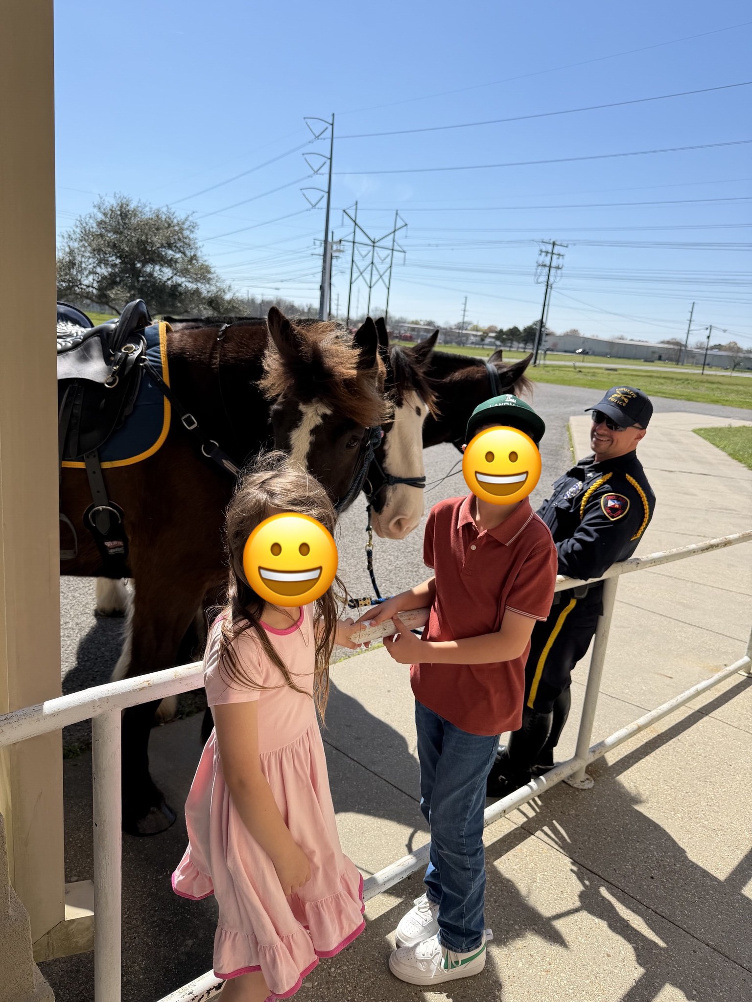 Kids and horses
